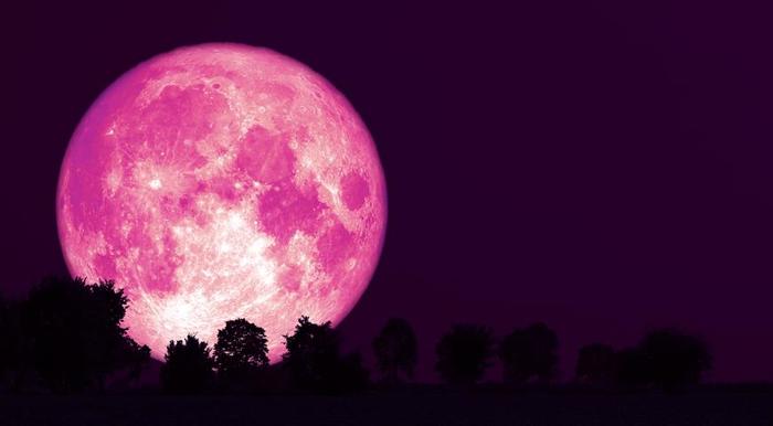 b66f9938 (700x386, 19Kb)