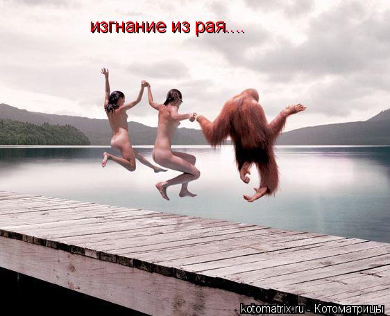 4743317_UX (562x456, 41Kb)