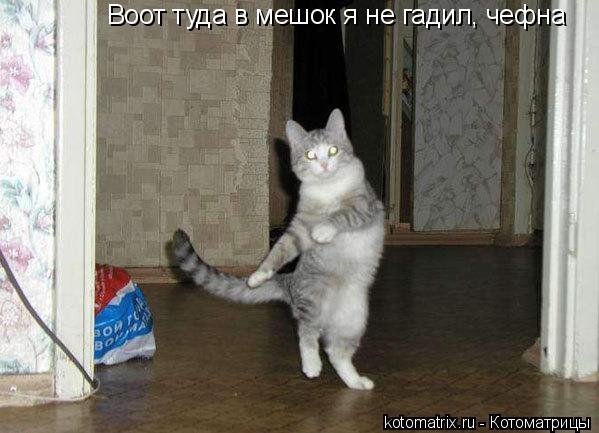 4743317_CO (599x433, 43Kb)