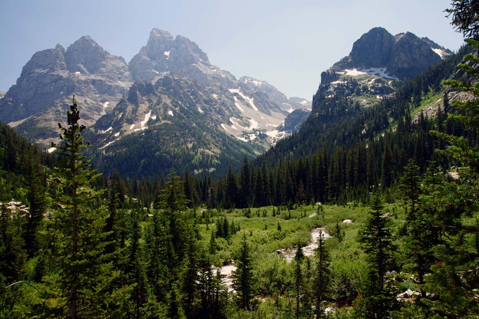 Cascade-Canyon-Along-Trail (700x466, 419Kb)