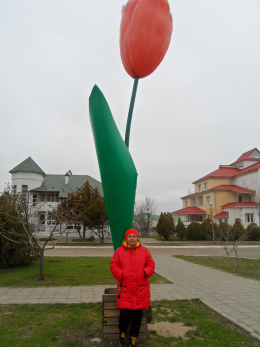 SAM_3855 (525x700, 305Kb)