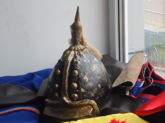 SAM_3870 (700x525, 303Kb)