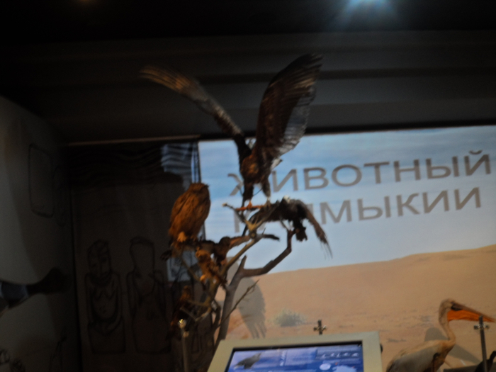 SAM_3887 (700x525, 260Kb)