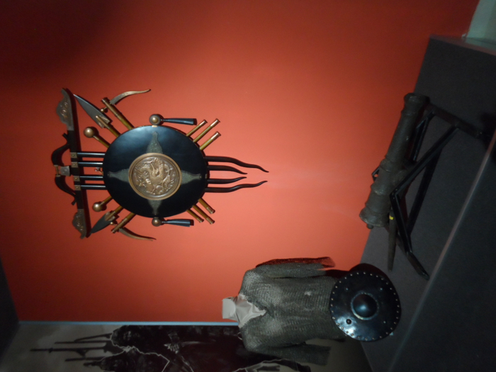 SAM_3891 (700x525, 314Kb)