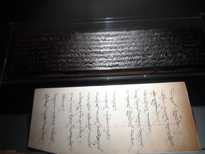 SAM_3906 (700x525, 299Kb)