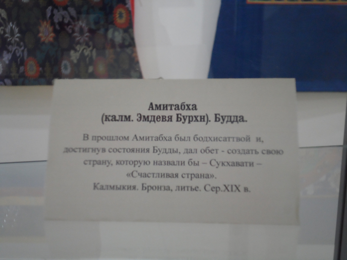 SAM_3916 (700x525, 261Kb)