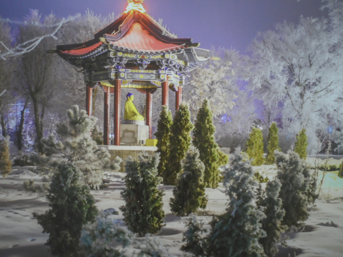 SAM_3922 (700x525, 387Kb)