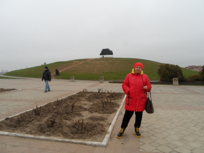 SAM_3845 (700x525, 294Kb)