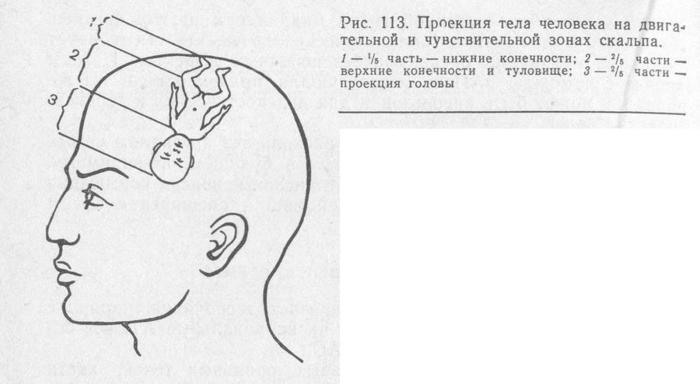 Схема крейлена брюсова