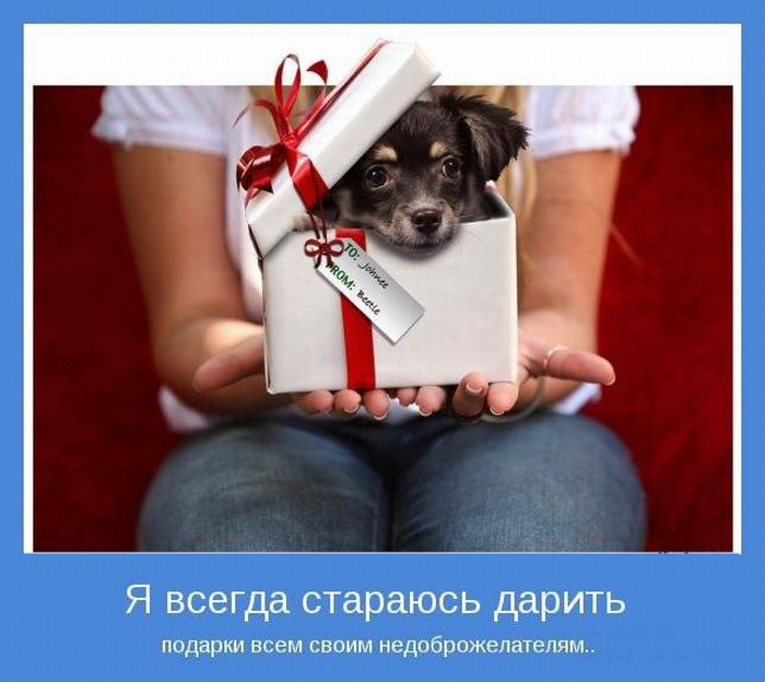 1366955231_www.radionetplus.ru-1 (700x624, 245Kb)