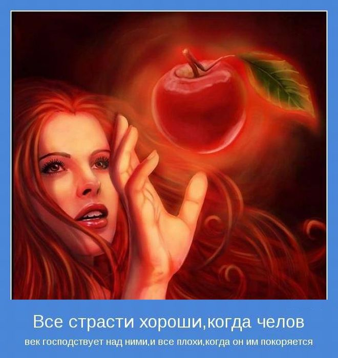 1366955272_www.radionetplus.ru-13 (660x700, 291Kb)