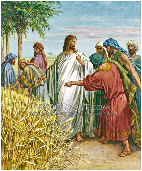hungry-disciples-pharisees-GoodSalt-stdas0051 (500x600, 139Kb)