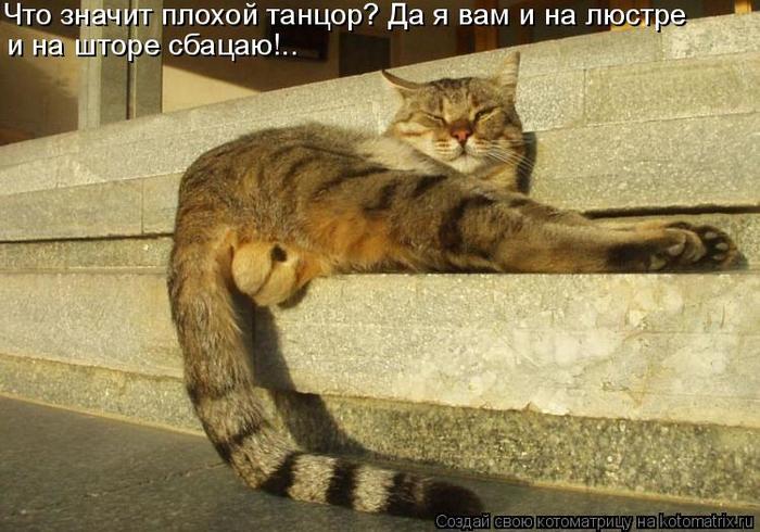 4743317_kotomatritsa_P (700x490, 64Kb)