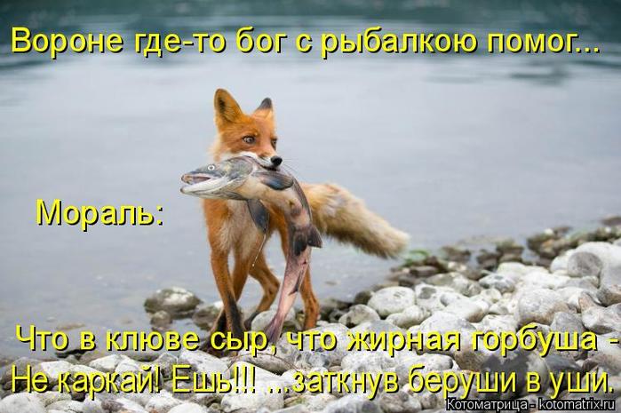4743317_kotomatritsa_sB (700x465, 58Kb)