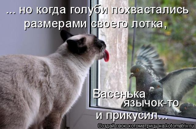 4743317_kotomatritsa_6 (640x424, 51Kb)