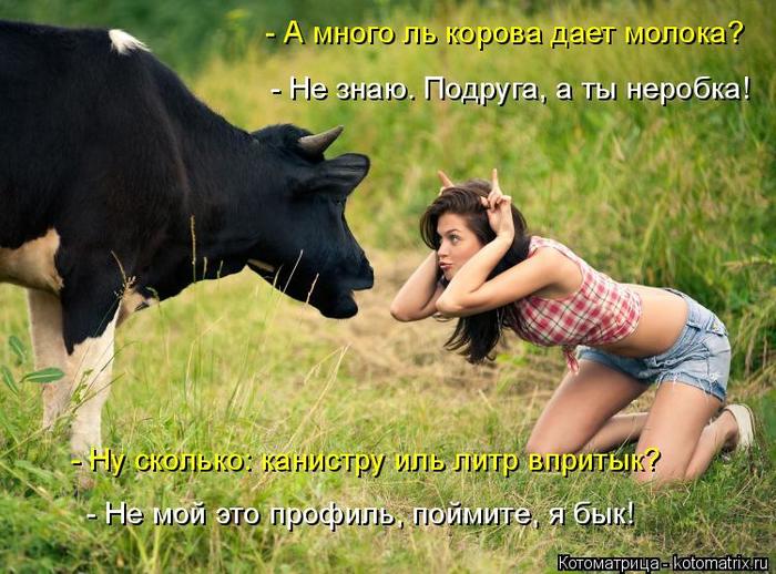 4743317_kotomatritsa_p_1 (700x518, 75Kb)