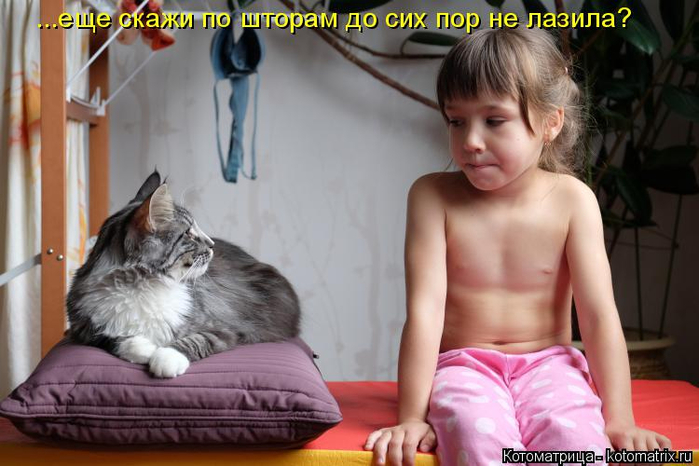 kotomatritsa_- (700x466, 293Kb)