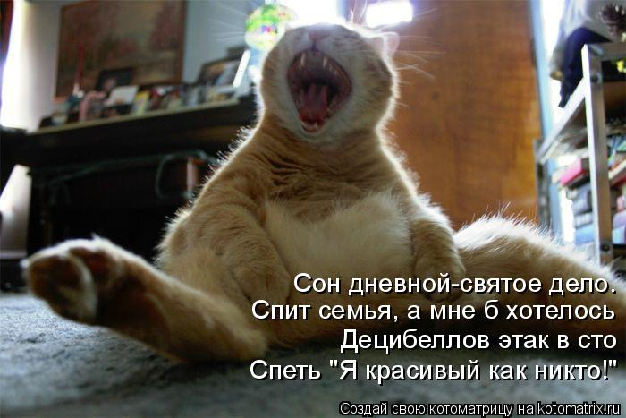 kotomatritsa_2F (700x467, 233Kb)