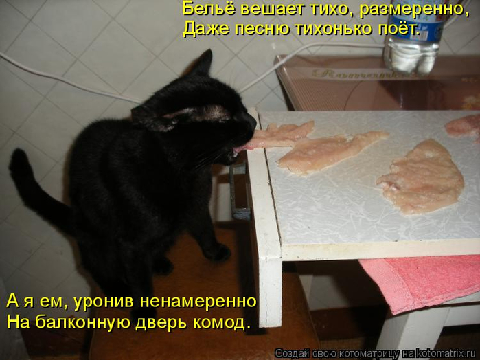 kotomatritsa_M (700x524, 302Kb)