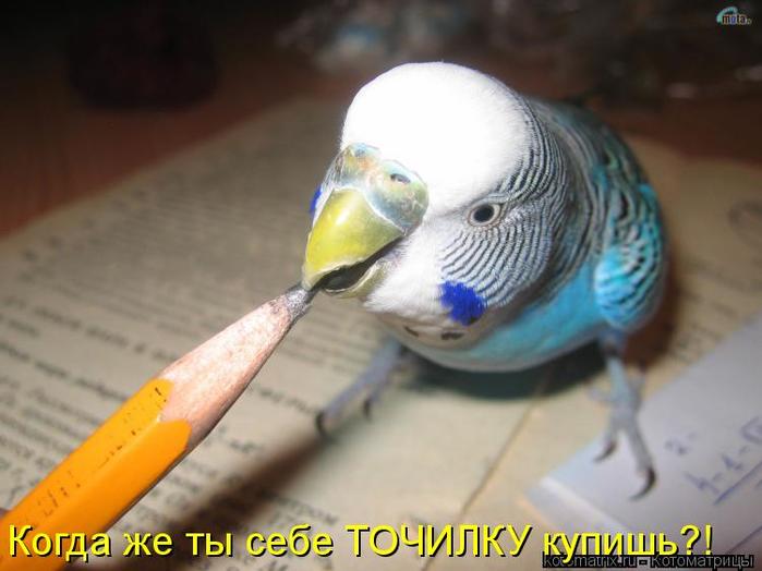 4743317_vG (700x524, 38Kb)