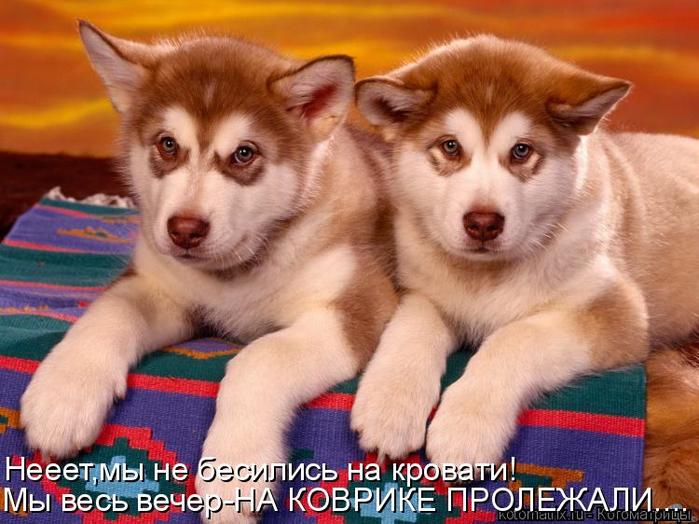 4743317_qq (700x524, 62Kb)