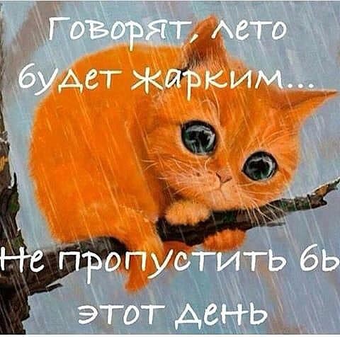 4743317_i_45 (480x476, 51Kb)