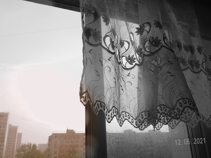 DSCN9776 (700x525, 126Kb)