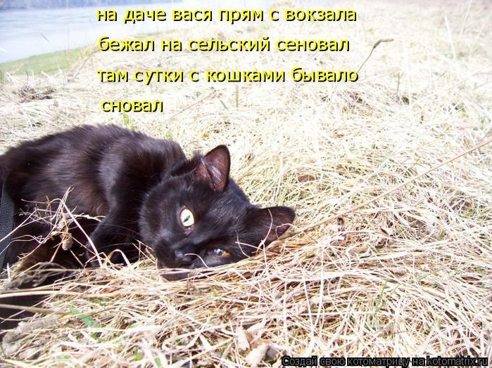 4743317_kotomatritsa_u3 (700x524, 103Kb)