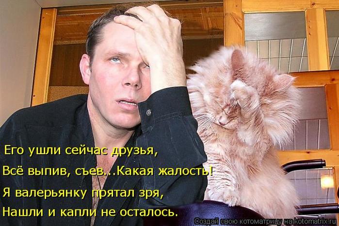4743317_kotomatritsa_a_1 (700x466, 65Kb)