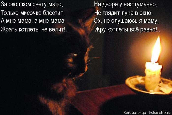 4743317_kotomatritsa_r (700x467, 42Kb)