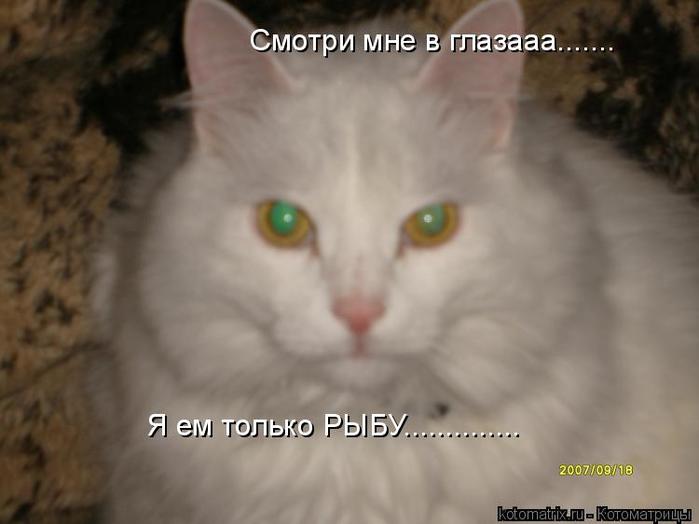 4743317_WZ (700x524, 29Kb)