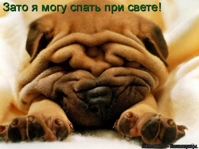 4743317_Wa (700x524, 51Kb)