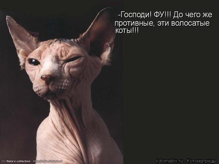 4743317_z (700x524, 29Kb)