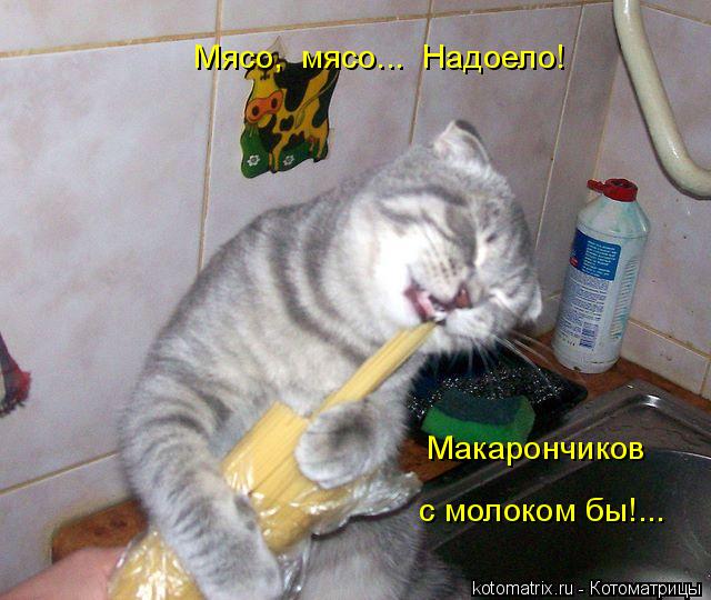 4743317_L (640x540, 57Kb)