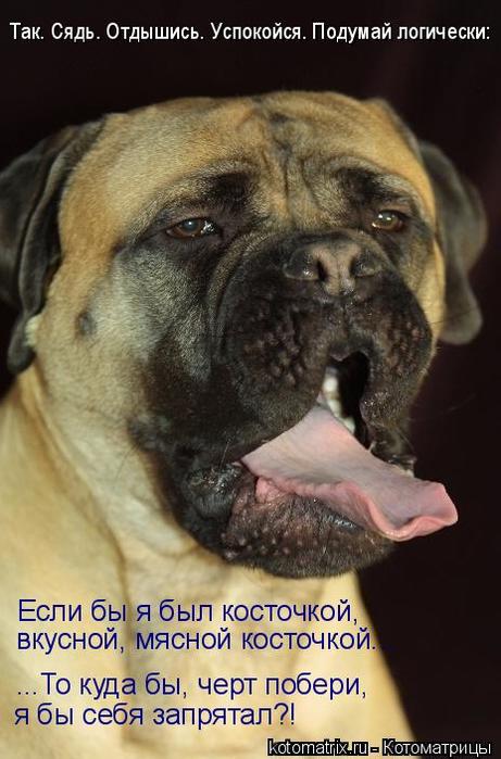 4743317_DG (461x700, 54Kb)