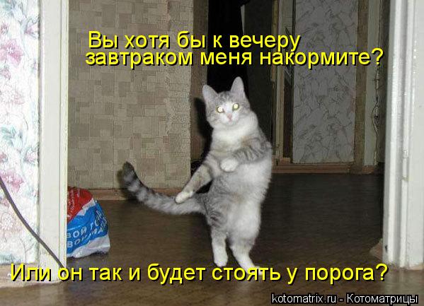 4743317__ (599x433, 51Kb)