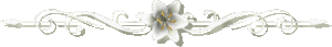 2 (300x43, 4Kb)