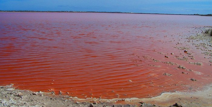 2714816_rozovoeozerohiller_5 (700x354, 57Kb)