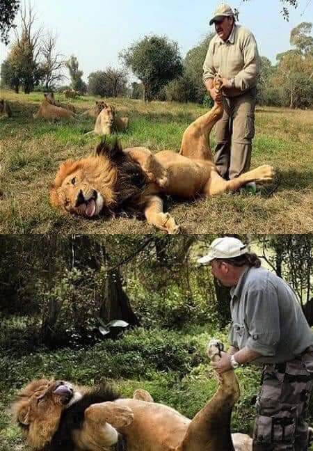 FB_IMG_1621268821657 (450x648, 56Kb)