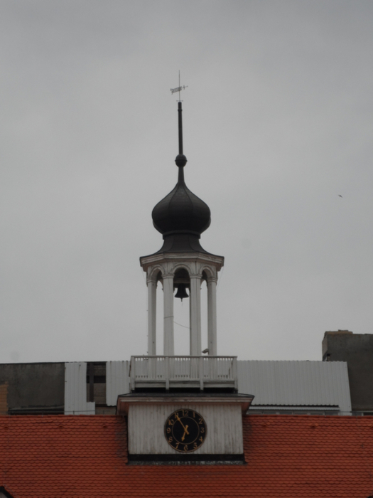 SAM_4002 (525x700, 217Kb)