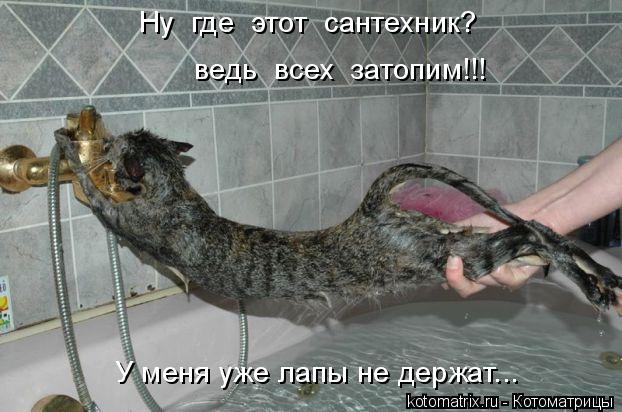 4743317_E (622x412, 52Kb)
