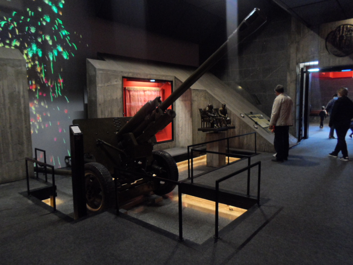 SAM_4044 (700x525, 343Kb)