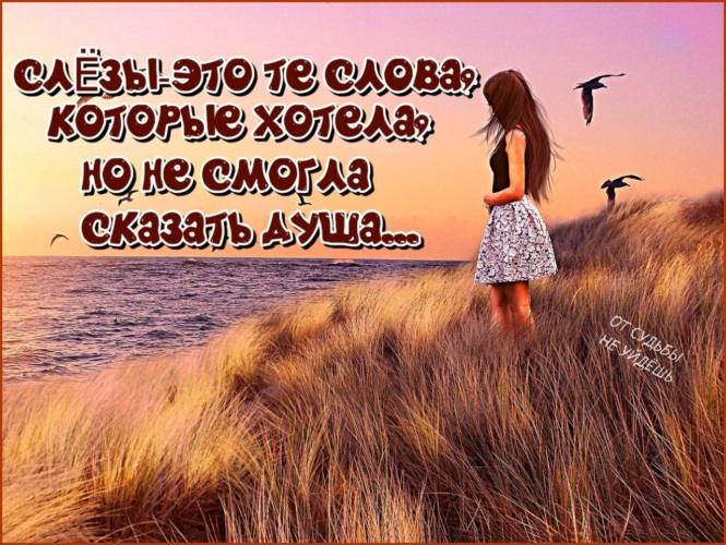 2161773_760x500 (665x500, 395Kb)