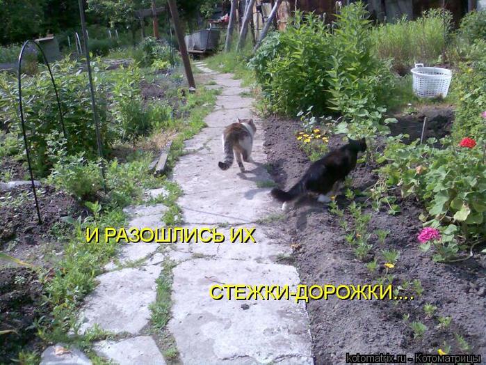 4743317_sx (700x524, 101Kb)