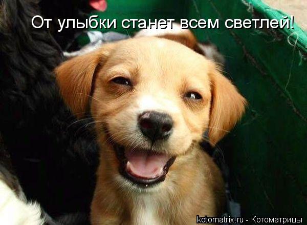 4743317_C (600x439, 39Kb)