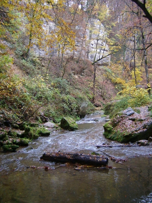 2714816_800pxPetite_Suisse_Luxembourgeoise_01 (525x700, 357Kb)