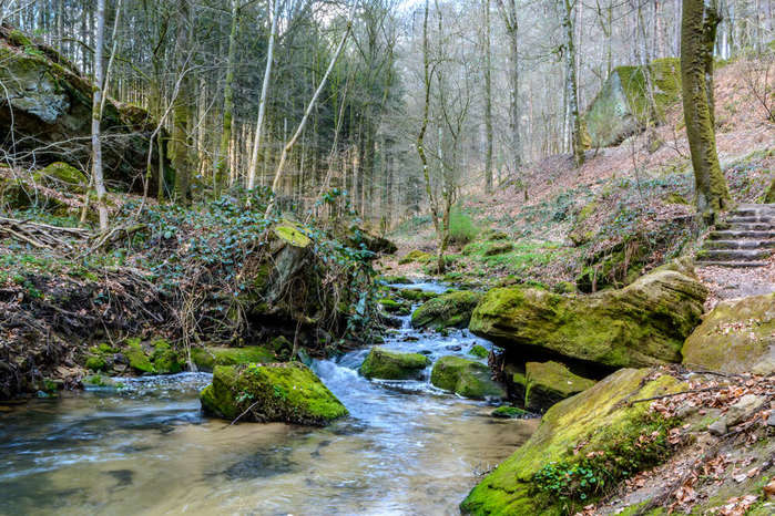 2714816_mullerthal50d6b3dc6b_x1000 (700x466, 91Kb)