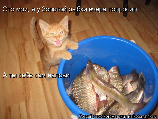 2 (640x480, 215Kb)