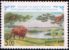 Oksky-State-Biosphere-Reserve-European-Bison-Bison-bonasus (226x164, 25Kb)