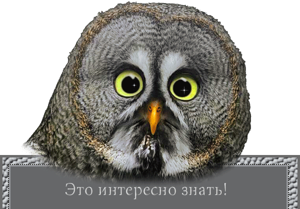 5402287_1339496914_0_8345c_4e07c99e_XL (600x418, 179Kb)